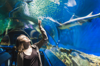 Young girl looking at fish at Ripley's Aquarium in Gatlinburg TN