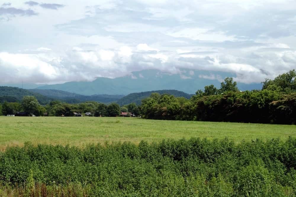backdrop of the Smoky Mountains in summertime