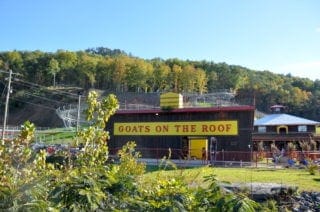Goats on the Roof attraction in Pigeon Forge TN