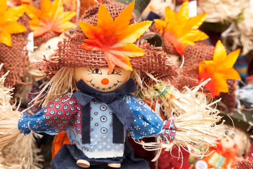 scarecrow and brightly colored leaves