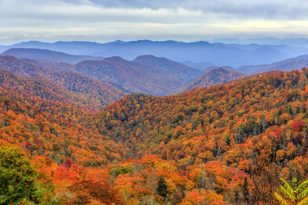 fall-in-the-smoky-mountains.jpg
