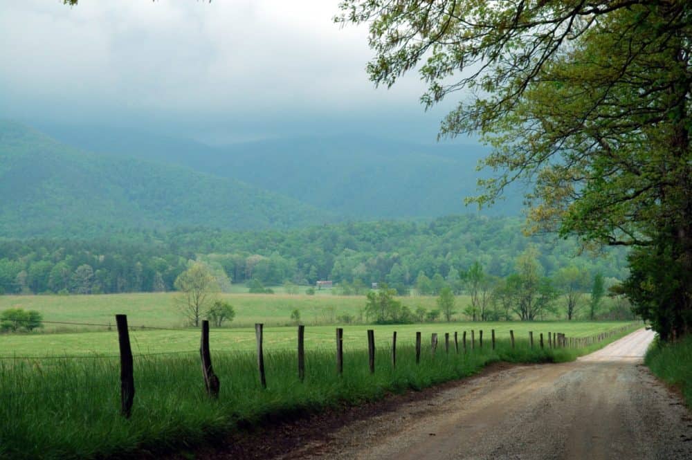cades cove loop road in the smoky mountains